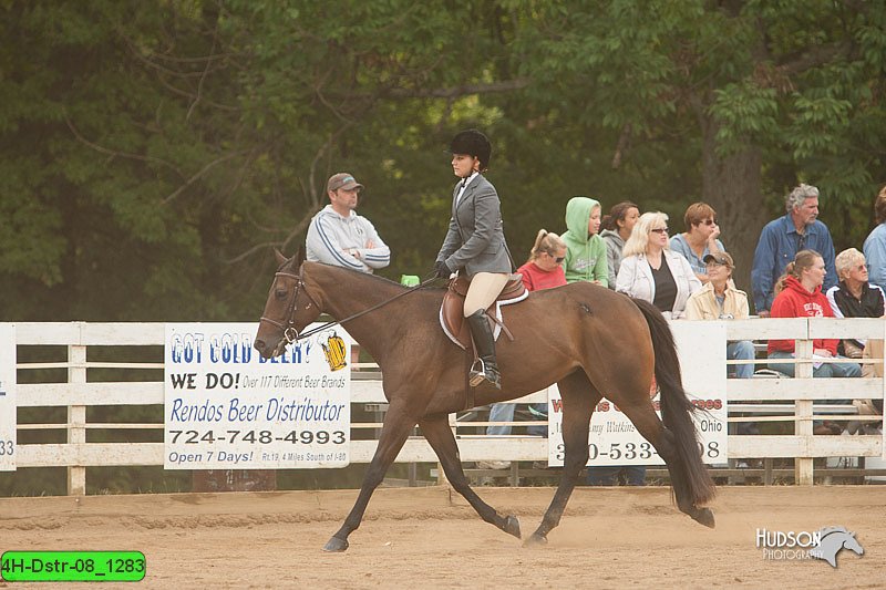 4H-Dstr-08_1283.jpg