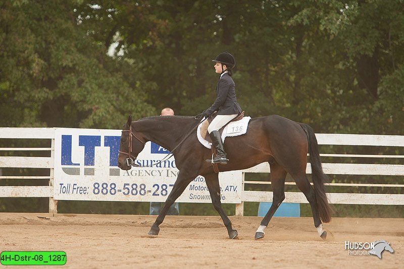 4H-Dstr-08_1287.jpg