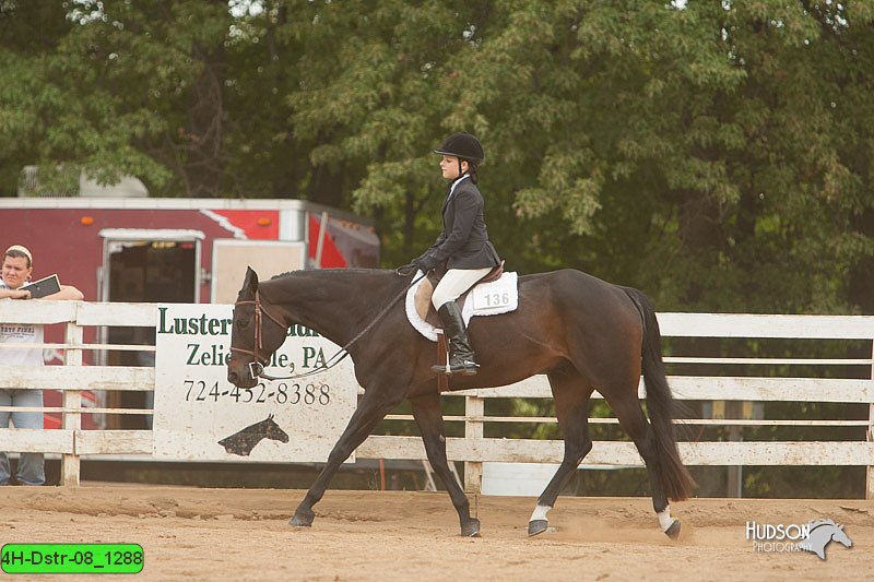 4H-Dstr-08_1288.jpg