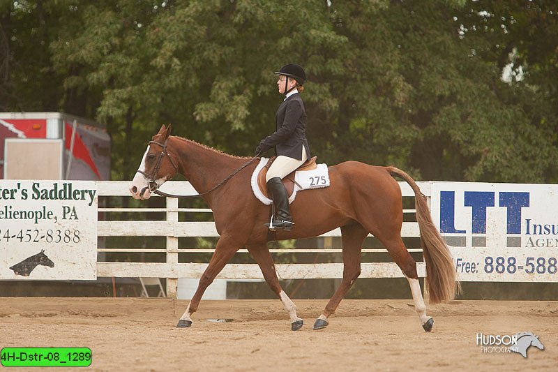 4H-Dstr-08_1289.jpg