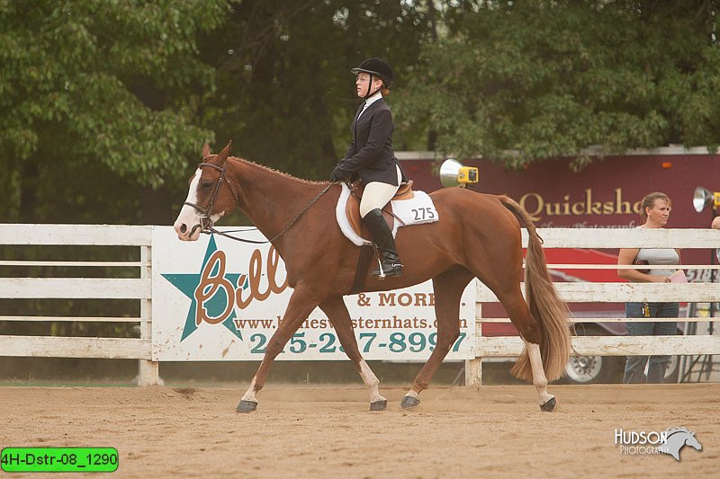 4H-Dstr-08_1290.jpg