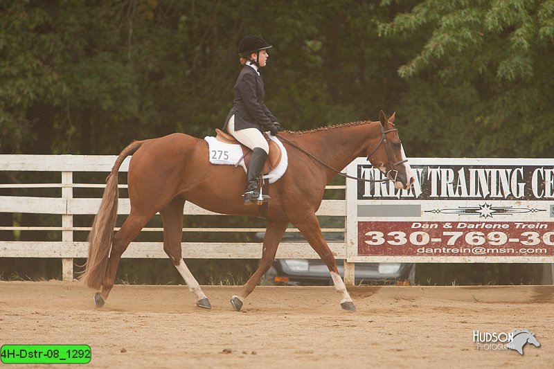 4H-Dstr-08_1292.jpg