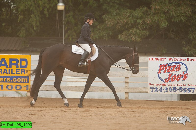 4H-Dstr-08_1293.jpg