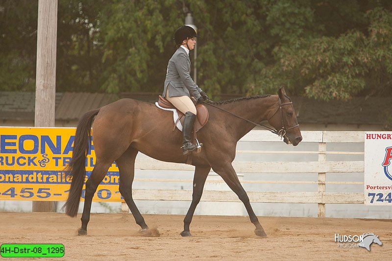 4H-Dstr-08_1295.jpg