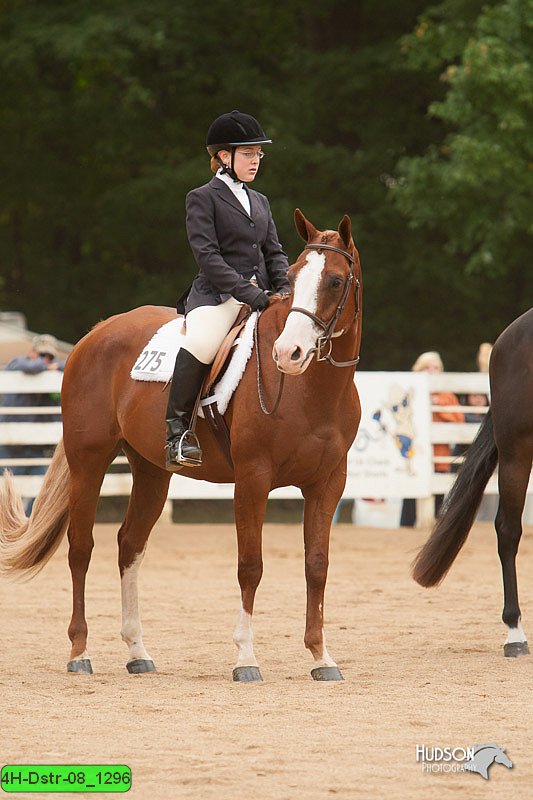 4H-Dstr-08_1296.jpg