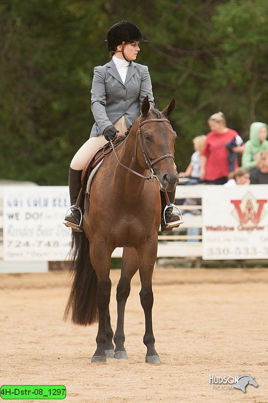 4H-Dstr-08_1297.jpg