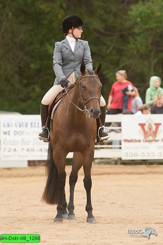 4H-Dstr-08_1298.jpg