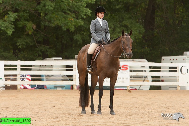 4H-Dstr-08_1302.jpg