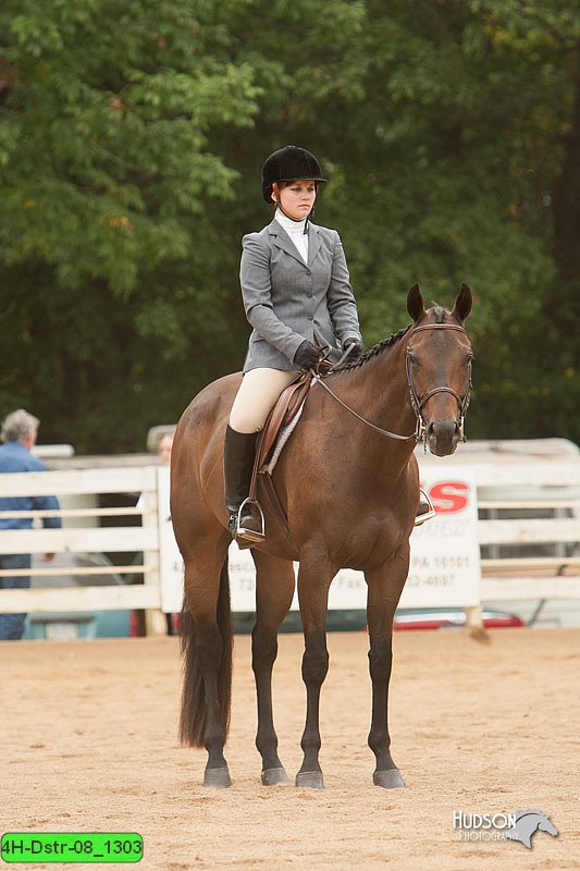 4H-Dstr-08_1303.jpg
