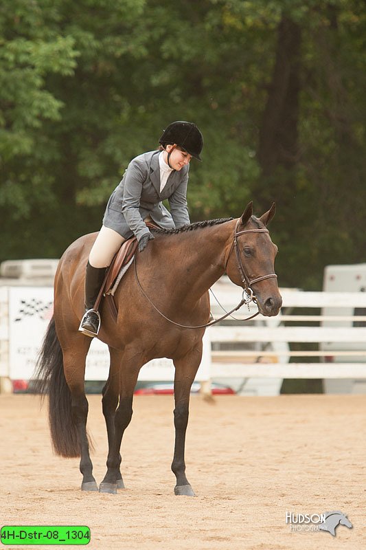 4H-Dstr-08_1304.jpg