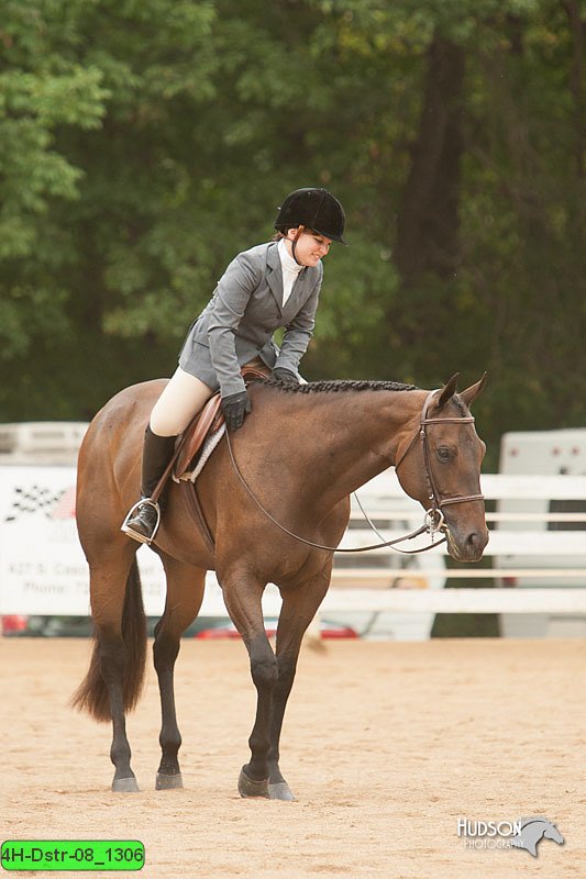 4H-Dstr-08_1306.jpg