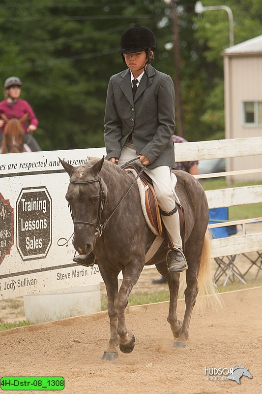 4H-Dstr-08_1308.jpg