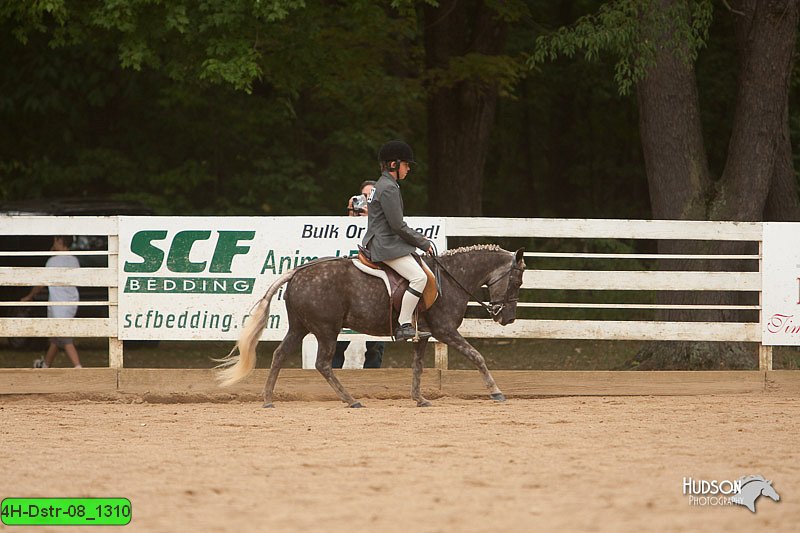 4H-Dstr-08_1310.jpg
