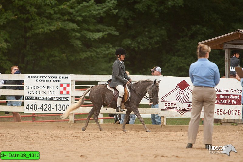 4H-Dstr-08_1313.jpg