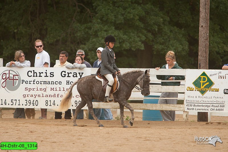4H-Dstr-08_1314.jpg