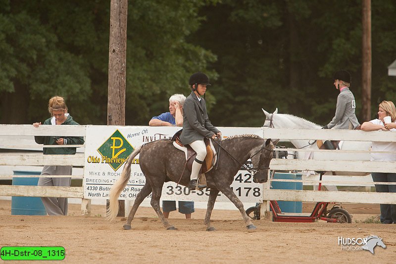 4H-Dstr-08_1315.jpg