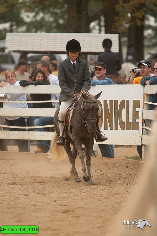 4H-Dstr-08_1316.jpg