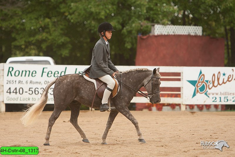 4H-Dstr-08_1317.jpg