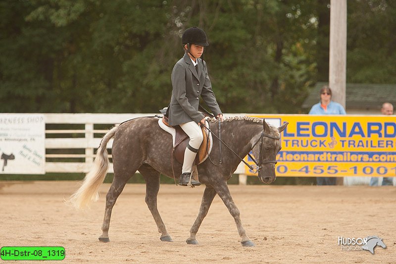 4H-Dstr-08_1319.jpg