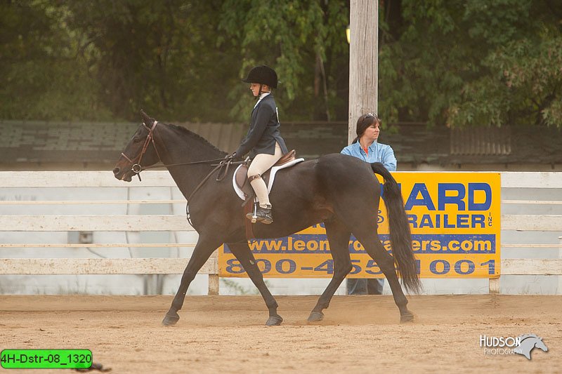 4H-Dstr-08_1320.jpg