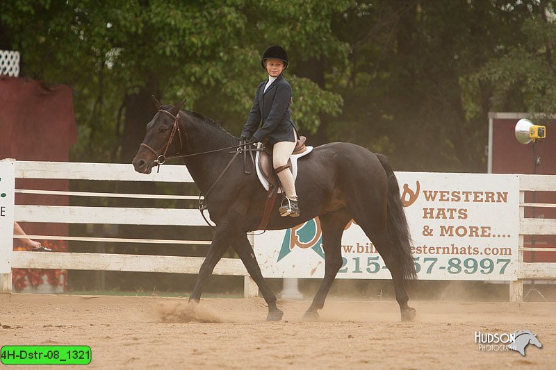 4H-Dstr-08_1321.jpg