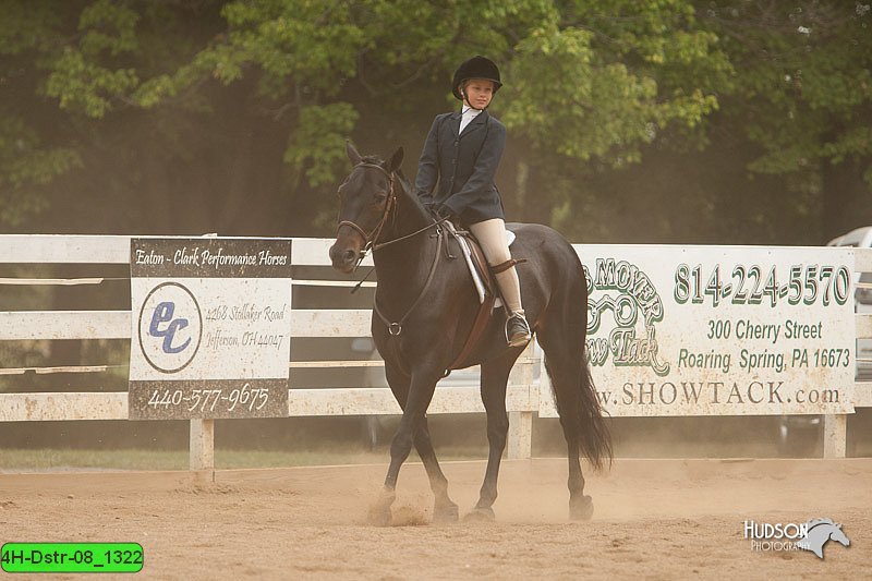 4H-Dstr-08_1322.jpg