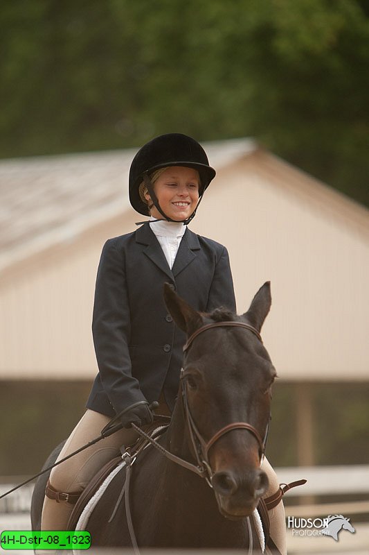 4H-Dstr-08_1323.jpg