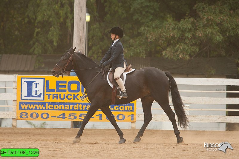 4H-Dstr-08_1326.jpg