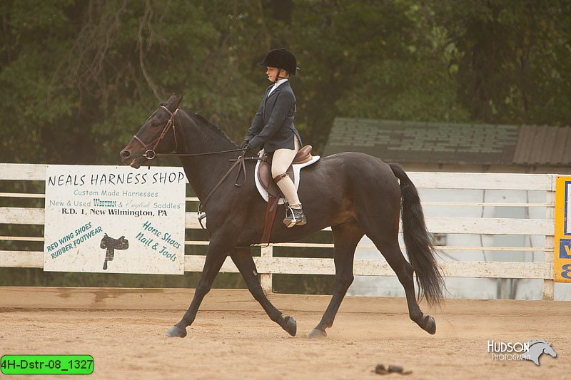4H-Dstr-08_1327.jpg
