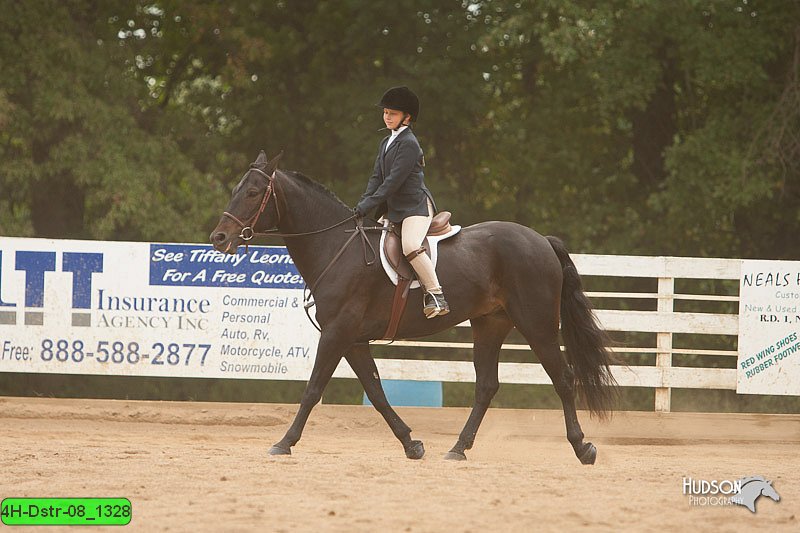 4H-Dstr-08_1328.jpg