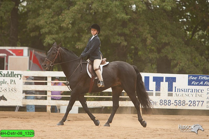 4H-Dstr-08_1329.jpg