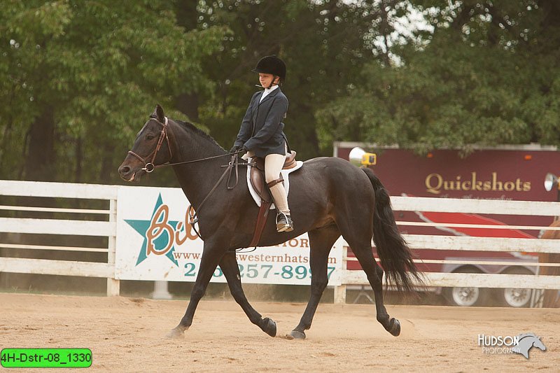 4H-Dstr-08_1330.jpg