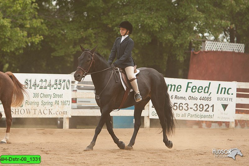 4H-Dstr-08_1331.jpg