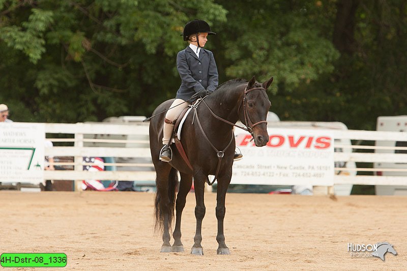 4H-Dstr-08_1336.jpg