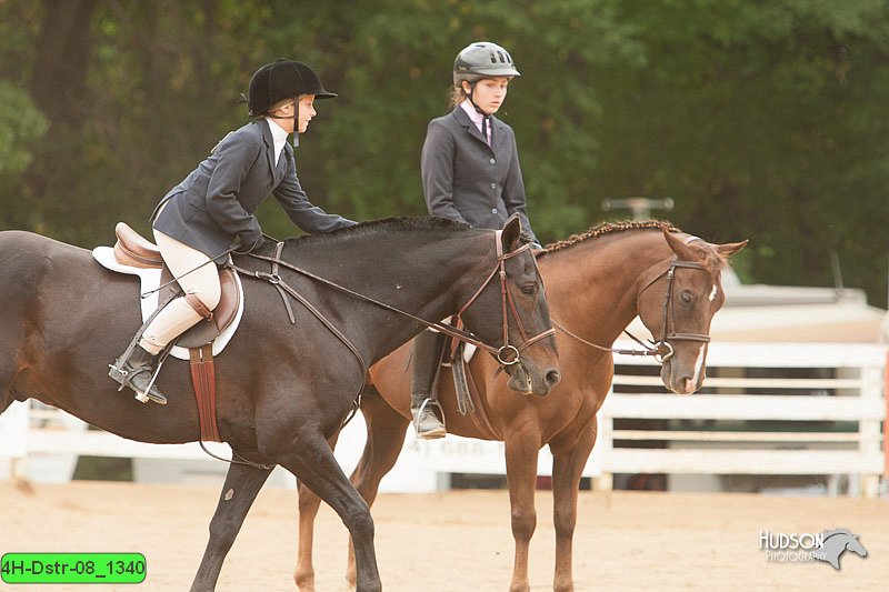 4H-Dstr-08_1340.jpg