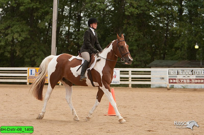 4H-Dstr-08_1405.jpg