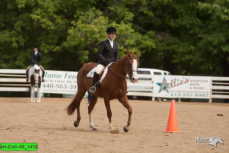 4H-Dstr-08_1416.jpg