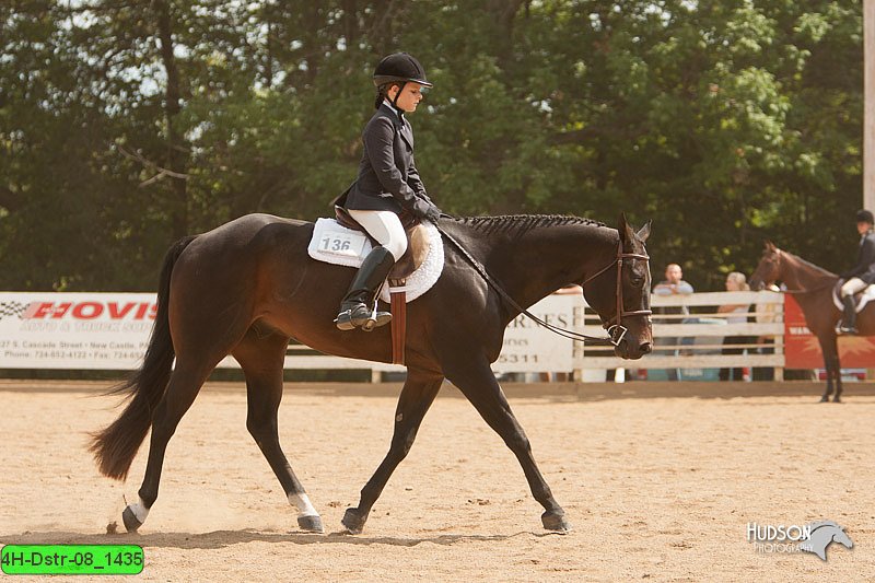 4H-Dstr-08_1435.jpg