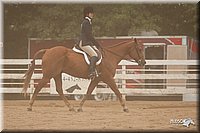 4H-Dstr-08_1254.jpg