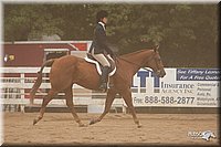 4H-Dstr-08_1255.jpg