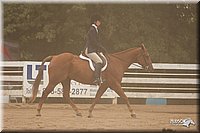 4H-Dstr-08_1256.jpg