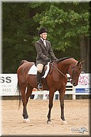 4H-Dstr-08_1260.jpg
