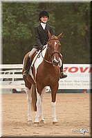 4H-Dstr-08_1263.jpg