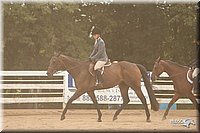 4H-Dstr-08_1270.jpg