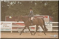 4H-Dstr-08_1271.jpg