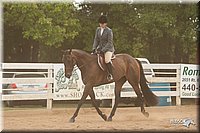 4H-Dstr-08_1272.jpg