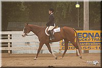 4H-Dstr-08_1274.jpg