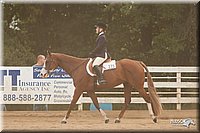 4H-Dstr-08_1275.jpg