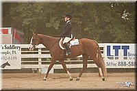 4H-Dstr-08_1276.jpg