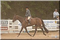 4H-Dstr-08_1279.jpg